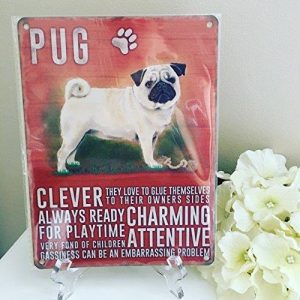 Pug Dog Metal Sign Plaque - large, 40cm x 30cm