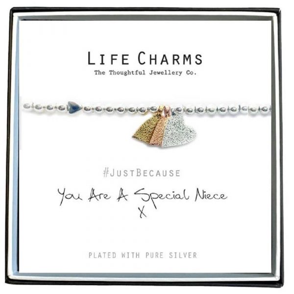 Life Charms You are A Special Niece Bracelet - Image 2
