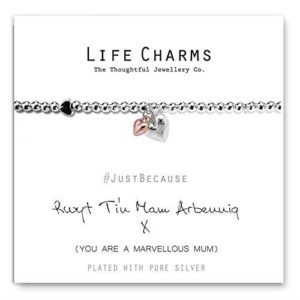 Life Charms Rwyt Ti'n Mam Arbennig Welsh