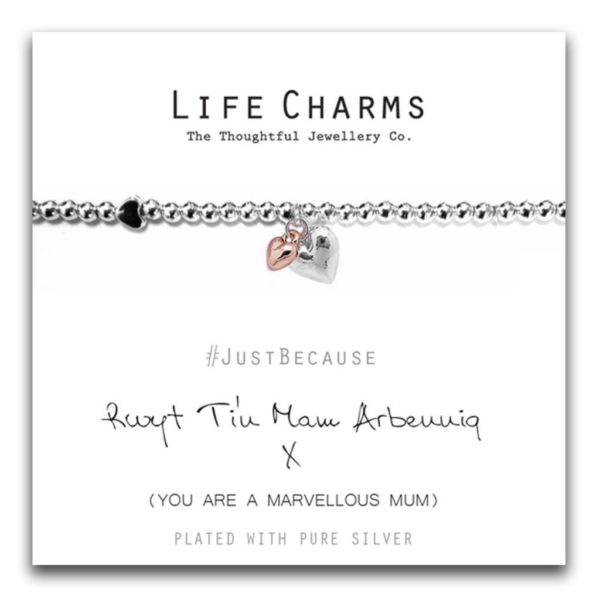 Life Charms Rwyt Ti'n Mam Arbennig Welsh - Image 2