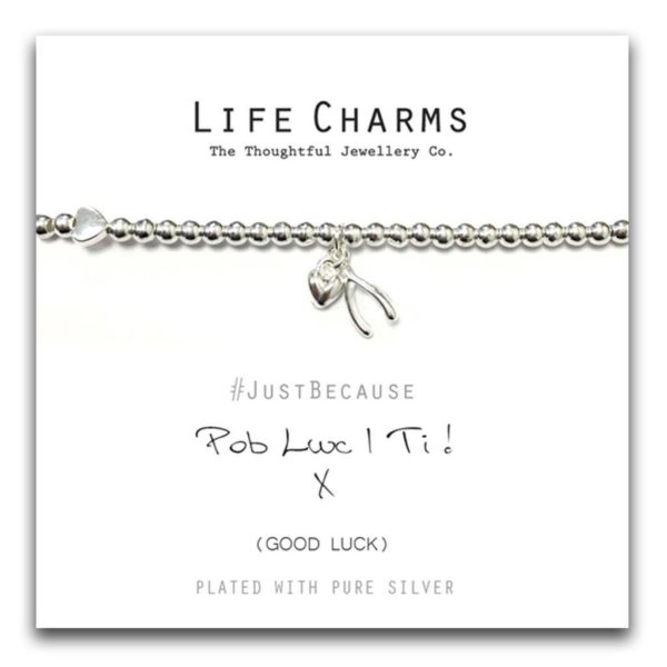 Life Charms POB Lwc I Ti- Welsh Bracelet - Image 2