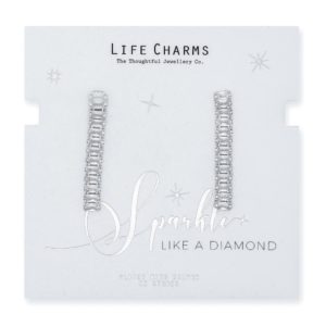 Life Charms CZ Small Rectangle Drop Earrings