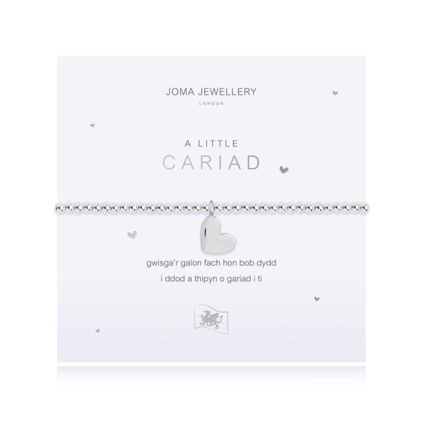 Joma Jewellery a little Welsh Love bracelet