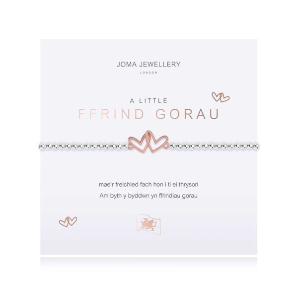 Joma Jewellery a little Welsh Best Friend bracelet