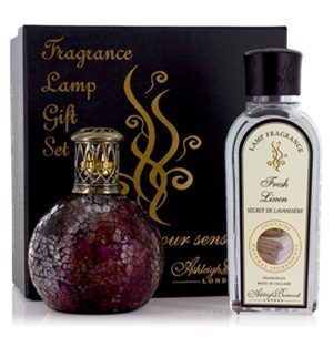 Ashleigh & Burwood Gift set- Rose Bud lamp and 250ml fragrance oil