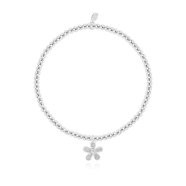 Joma Jewellery Occasion Gift Box Wonderful Grandma bracelets - Image 5