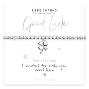 Life Charms I Wanted To Wish You Good Luck Bracelet