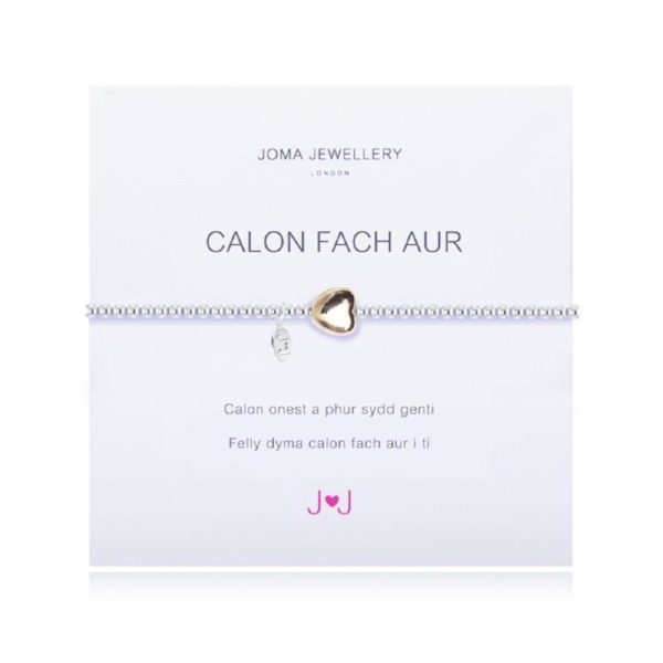 Cymraeg Welsh A Heart of Gold Bracelet
