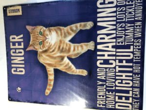 Metal wall sign - Ginger Cat (Large)