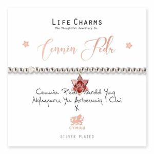 Life Charms Welsh Daffodil bracelet