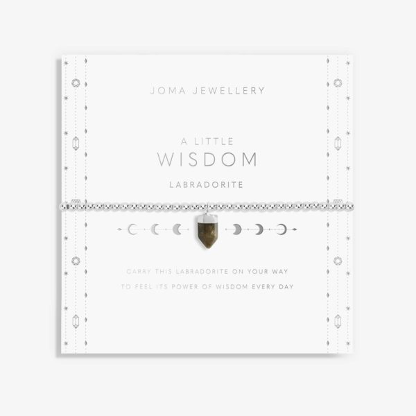 Joma Jewellery a little Wisdom Crystal bracelet